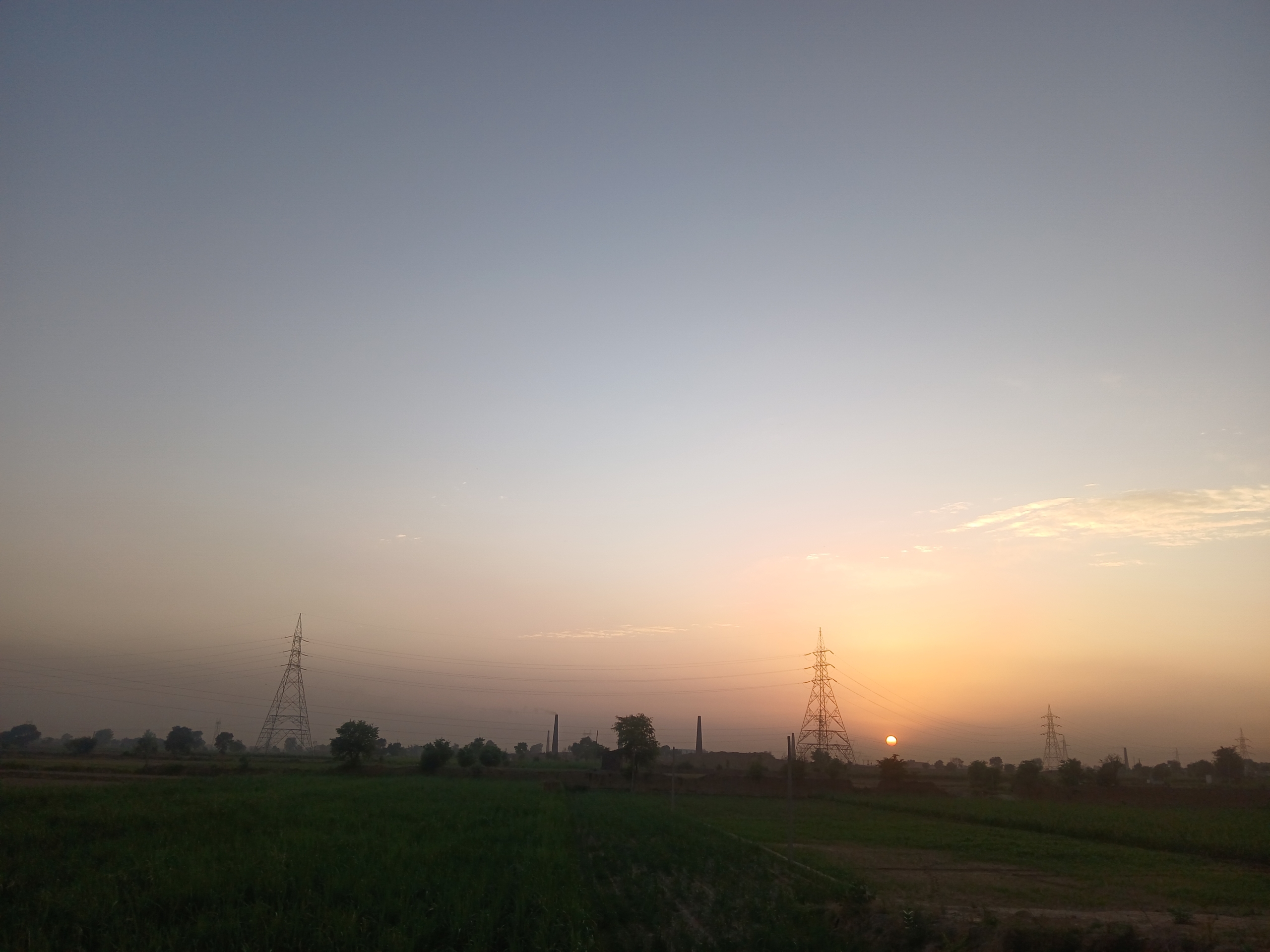 agri land Agriculture land