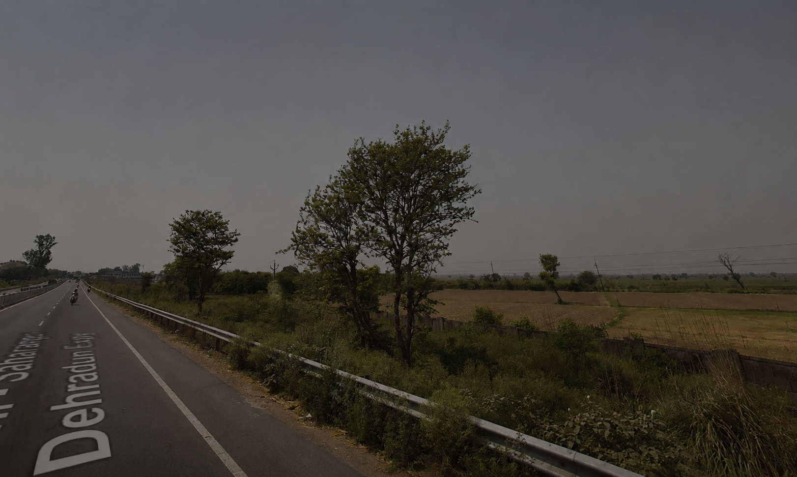 38 Bigha Agricultural Land