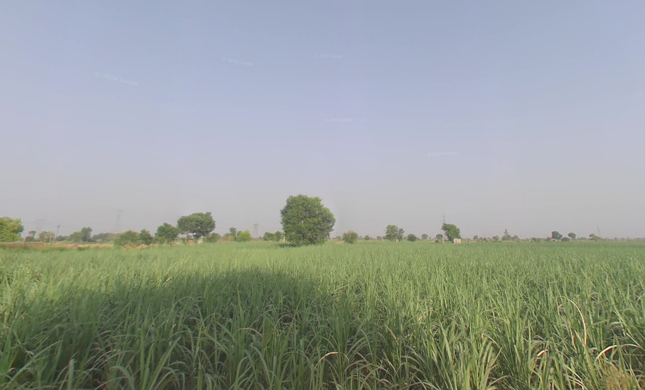 Agriculture Land