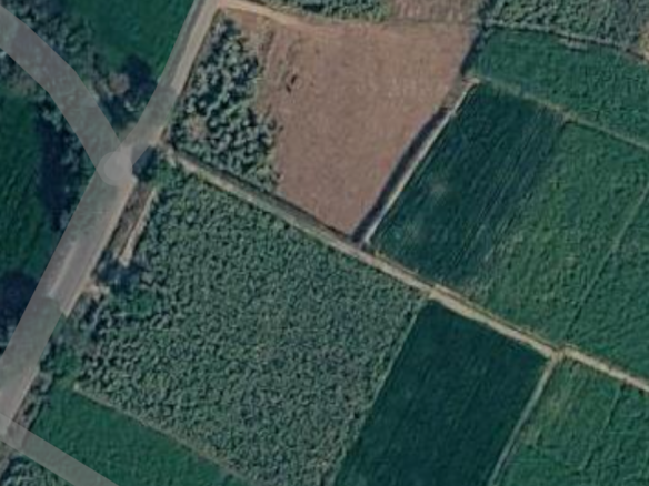 65 Bigha Agriculture Land
