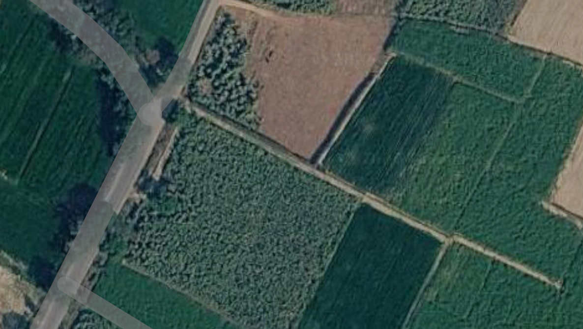 65 Bigha Agriculture Land