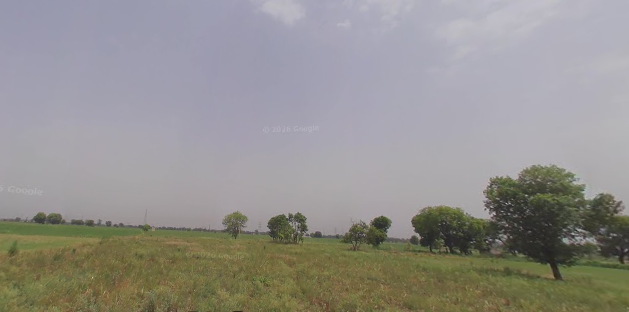 9.5 Bigha Agriculture Land