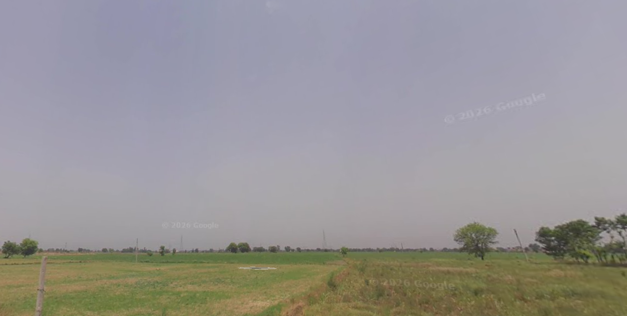 9.5 Bigha Agriculture Land