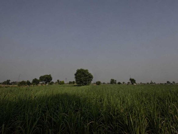 agri land