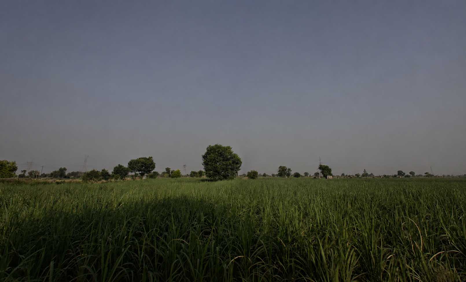 agri land