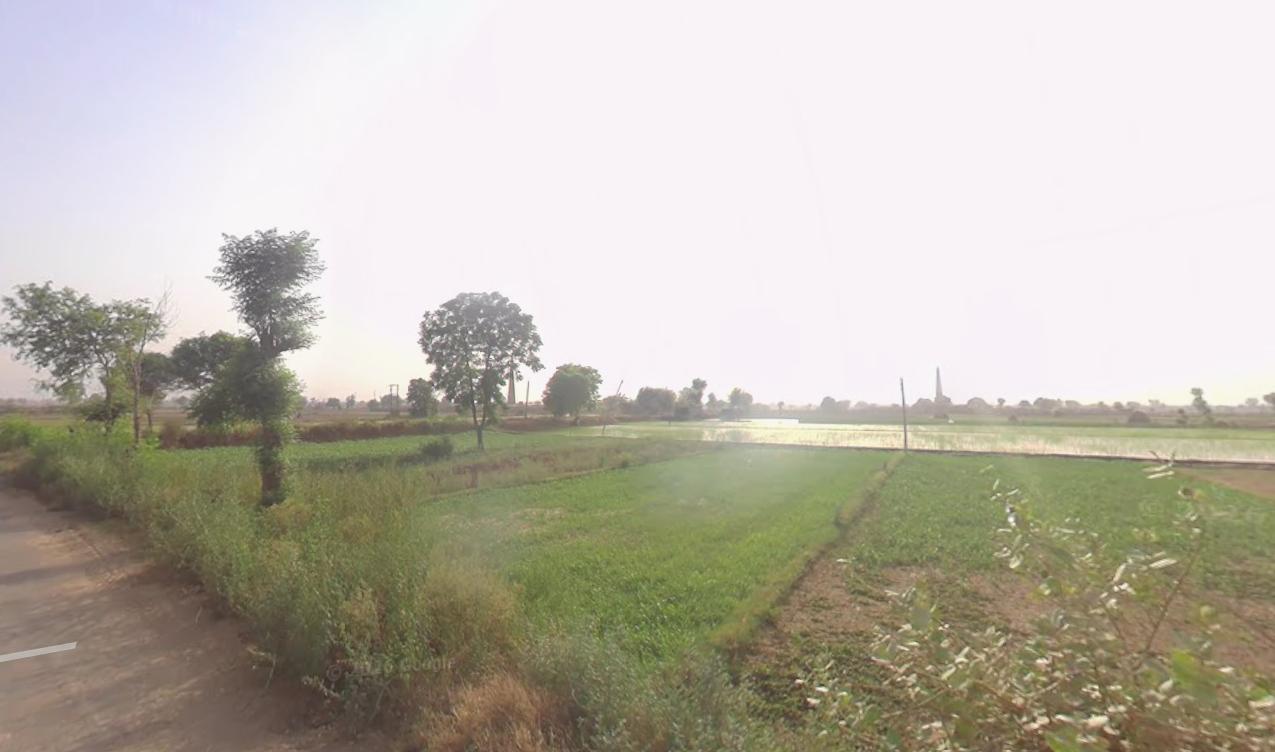 Property choupal