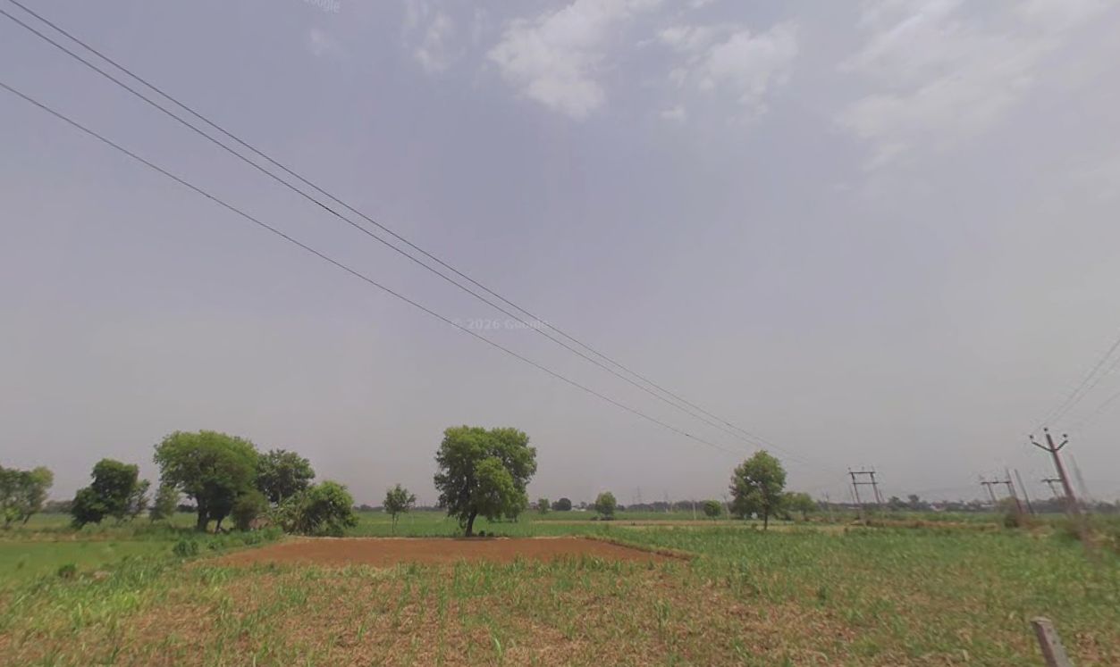 Property choupal
