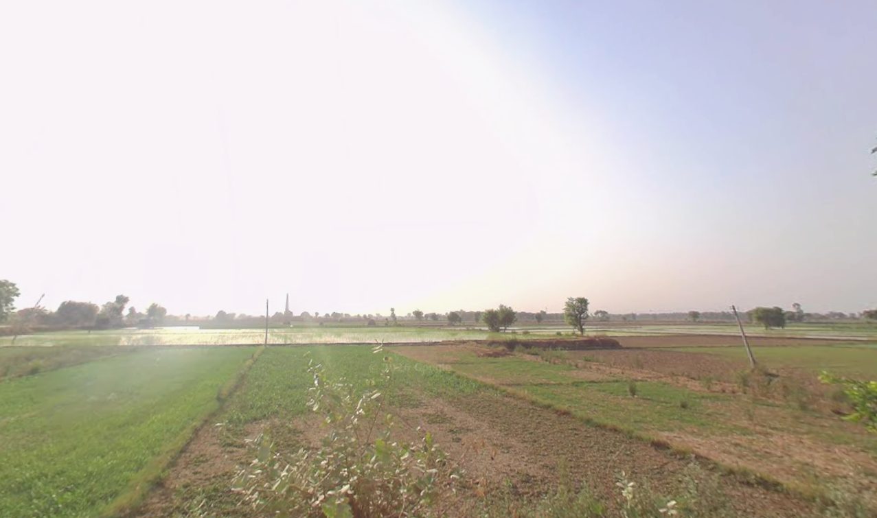 Property choupal