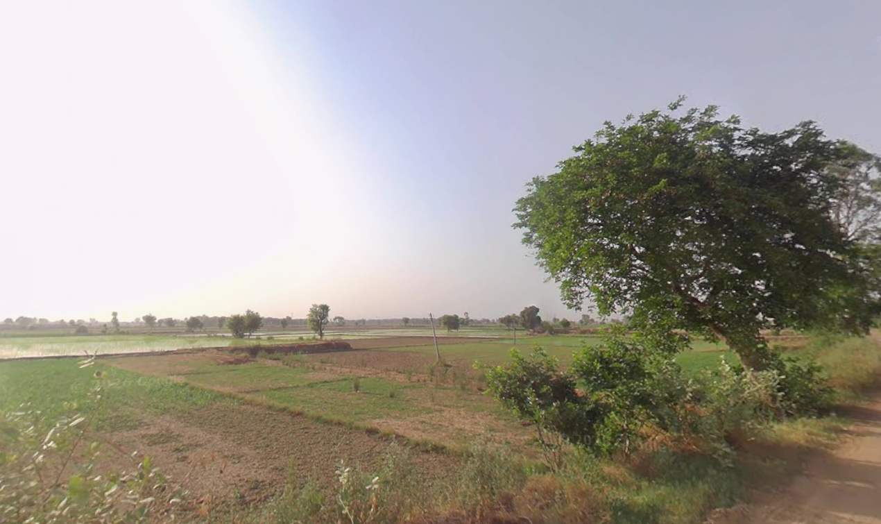 Property choupal