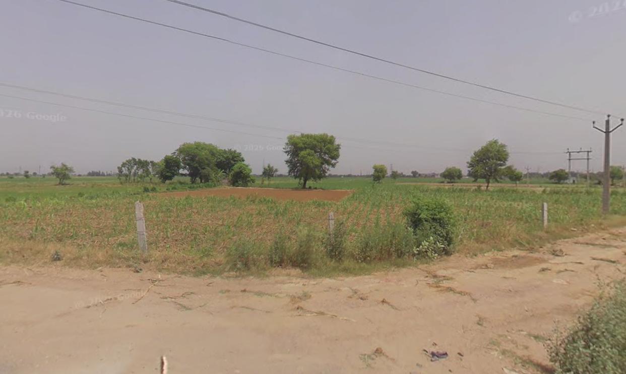 agriculture land