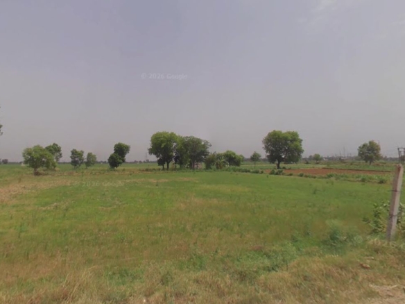 agriculture land