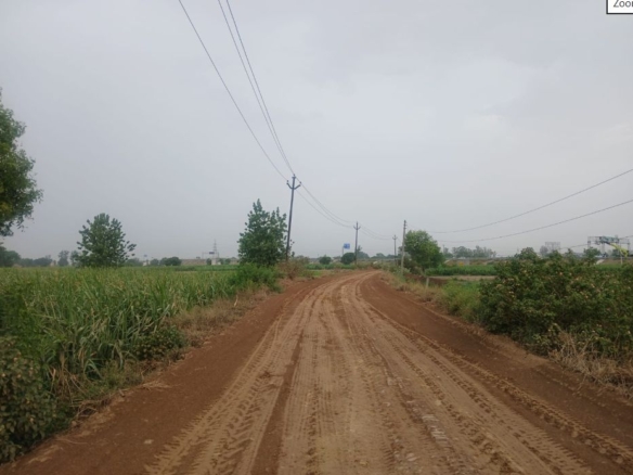 Property choupal